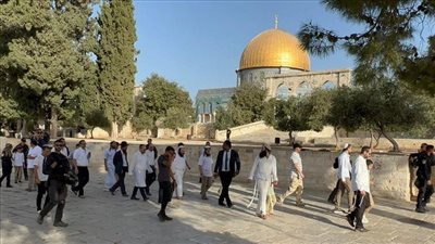 مرصد الأزهر يحذر: الأقصى تحت ضغط متصاعد.. وخطوات جديدة لتوسيع الممارسات الدينية داخل الحرم القدسي