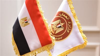 براتب 290 دينارًا شهريًا.. وزارة العمل تعلن إتاحة وظائف بالأردن في مجال تربية الطيور