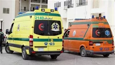 وفاة واحدة.. ارتفاع عدد مصابي انقلاب ميكروباص سفاجا لـ 14 شخصا |بث مباشر 