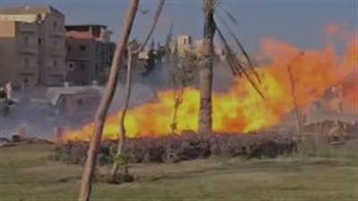 txt