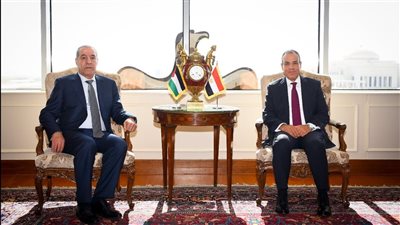 وزير الخارجية: مستمرون في جهود الوساطة لوقف إطلاق النار بغزة.. ونرفض استخدام إسرائيل التجويع كسياسة للعقاب الجماعي