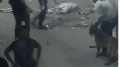 بـ كمامات وسنج وكلاب شرسة.. خناقة شوارع في بولاق الدكرور والأمن يضبط المتهمين