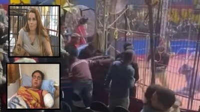 أنوسة كوتة أختي والصُلح خير.. أول تعليق من عامل سيرك طنطا بعد تنازله عن القضية | خاص