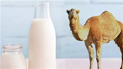 txt