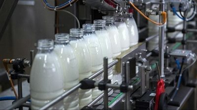 دراسة تكشف: الألبان لا تزيد معدلات الالتهاب 