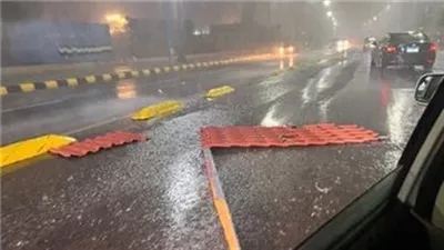 كيف نجحت كهرباء الإسكندرية في حماية الشبكة من أضرار الإعصار؟ رئيس الشركة يجيب