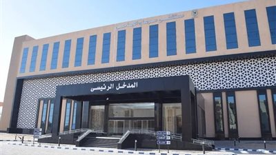 بسبب خلافات الجيرة.. شاب يطعن آخر بمطواة في المنشاة بسوهاج