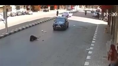 تجديد حبس طالب جامعي لاتهامه بدهس سيدة والتسبب في وفاتها بطنطا 