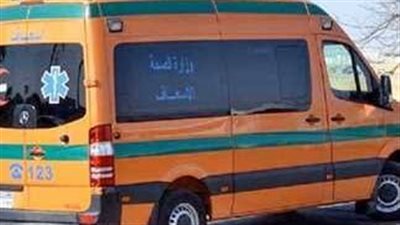 بالأسماء.. إصابة 15 شخصًا في انقلاب ميكروباص على طريق ساحل سليم بأسيوط