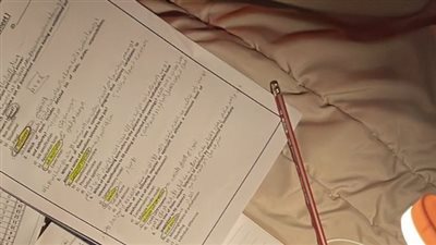 مراجعة ليلة الامتحان لطلاب الصف الأول الثانوي في 3 مواد غدا.. كيف تذاكر بذكاء؟