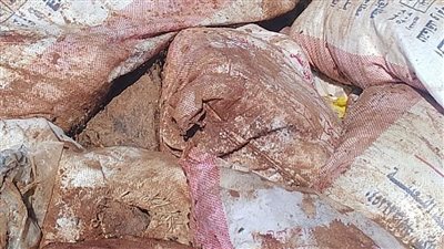 بقايا حيوانات بالطرق العامة.. مدينة مرسى مطروح تحرر محاضر بيئة ونظافة ضد سيرك 