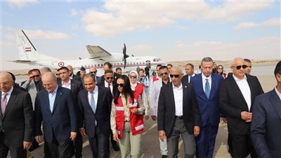 وزير الخارجية: لا مانع من نشر قوات دولية في غزة ضمن أفق سياسي لتجسيد الدولة الفلسطينية