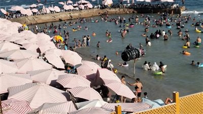4 حالات حرجة.. تفاصيل الوضع الصحي للناجين من حادث الغرق بشاطئ أبو تلات بالإسكندرية وأسماء الحصيلة النهائية