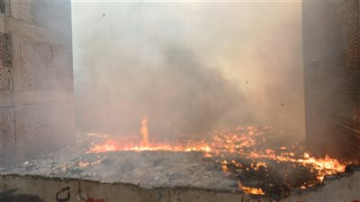 نفوق 12 رأس ماشية.. السيطرة على حريق اندلع في حوش بقنا