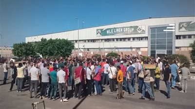 بعد أزمة وفاة رضيعتها.. القصة الكاملة لعاملة لينين جروب بالإسكندرية ورد مصدر بالشركة 