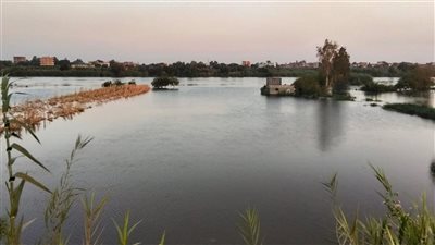 تفاصيل جديدة في واقعة مقتل 4 صغار على يد والدهم بالإسكندرية | خاص 