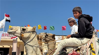بمشاركة دول عربية.. اليوم انطلاق مهرجان سباق الهجن في العريش بشمال سيناء