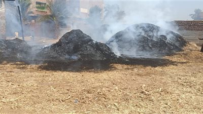 دون إصابات.. السيطرة على حريق في عصارة قصب بقنا