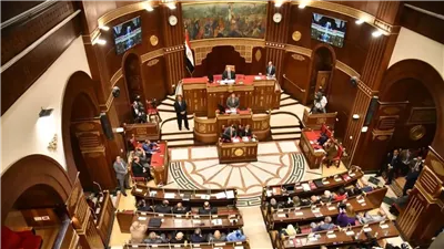 تشريعية الشيوخ تواصل مناقشة الأثر التشريعي لقوانين الجرائم الإلكترونية والعقوبات