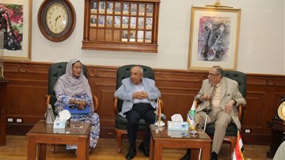 نقابة المهندسين تطرح إعادة تأهيل وبناء البنية التحتية بالسودان