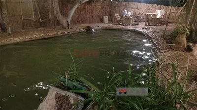 عيون المياه الكبريتية.. متعة السياحة في واحة سيوة بمطروح