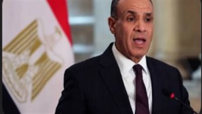 وزير الخارجية: مصر لن تحكم غزة ولن تكون أي دولة أجنبية حاكمة في القطاع