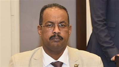 مصرع نجل مرشح بانتخابات مجلس النواب في البحر الأحمر