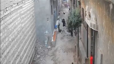 أول ظهور للشاب ضحية اعتداء أبناء عمه بالمنيا: كانوا عايزني أتنازل عن قضية قديمة.. واعتدوا عليا قدام أسرتي