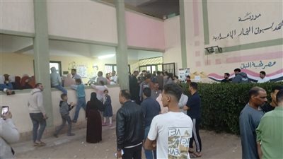 القبض على مسؤولة جمعية خيرية بالمحلة لجمع بطاقات الناخبين لصالح مرشح