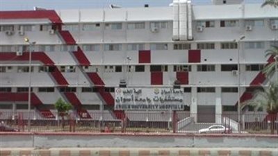 جامعة أسوان تطلق ورشة عمل بعنوان 