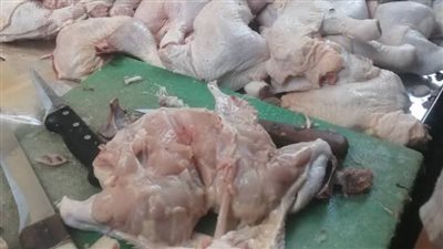 ضبط ربع طن دواجن فاسدة داخل مطعم تجهيز وجبات بالغربية