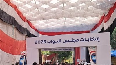 بعد قبول الاستئناف وإلغاء حكم الحبس.. براءة جميع المتهمين في قضية شغب انتخابات إسنا بالأقصر