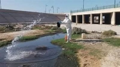 بعد نشر القاهرة 24.. مدير مستشفى المنيا الدولي يرد: أزمة الصرف الصحي كانت بسبب سدد مفاجيء وتم التعامل معها فورًا