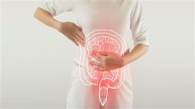 كيف يعيد النظام الغذائي برمجة الميكروبيوم للوقاية من السرطان؟.. دراسة توضح