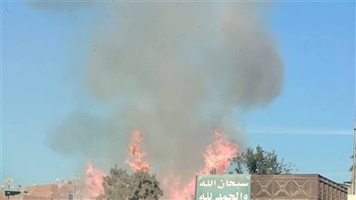 دون إصابات.. السيطرة على حريق نشب في مدرسة دولية بالإسكندرية