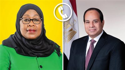 الرئيس السيسي يؤكد استعداد مصر لدفع المزيد من الاستثمارات المصرية إلى السوق التنزانية 