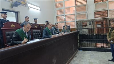 المؤبد لمتهمين والسجن المشدد 15 عامًا لآخرين في قضية قتل واستعراض قوة بالمنيا