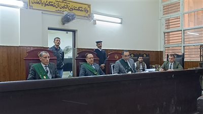 السجن 15 عامًا لـ مبلط سيراميك تعدى على صغير في المنيا