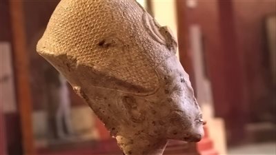 txt
