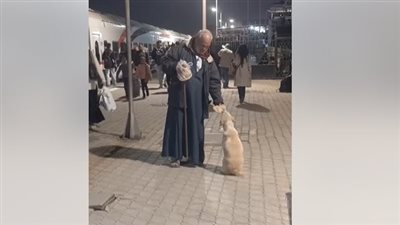 أكل ما تبقى منه على الأرض.. عجوز يطعم كلبًا جائعًا في محطة رمسيس يثير تعاطف السوشيال ميديا