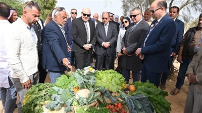 الجامعة البريطانية في مصر تدشن مشروعًا بحثيًا لتحويل المخلفات الزراعية إلى علف حيواني بجنوب سيناء
