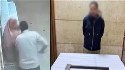 ضربها بالبلطة.. الحبس سنتين للمتهم بالتعدي على والدته في طنطا