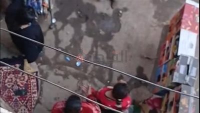 ضبط شخصين تعديا على فتاتين بعصا في كوم أمبو بأسوان