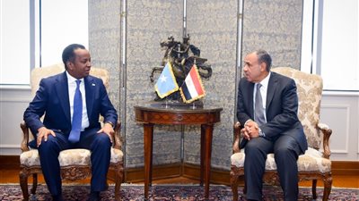 مشاورات مصرية – صومالية لدعم الأمن والاستقرار في القرن الإفريقي والبحر الأحمر