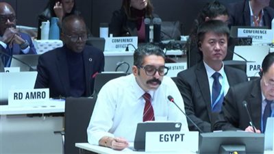 انتصار دبلوماسي مصري على إسرائيل في الصحة العالمية.. وإحباط محاولات تحميل القاهرة مسؤولية تأخير إجلاء مصابي غزة