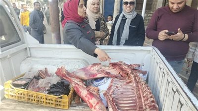مع اقتراب رمضان.. ضبط لحوم خيل وسلع غذائية غير صالحة للاستهلاك الآدمي في حملة ببني سويف