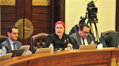 القومي للطفولة يدرس إطلاق مبادرة وطنية للتوعية الرقمية لحماية الصغار من مخاطر السوشيال ميديا