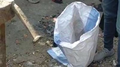 أستاذ أمراض نساء وتوليد بالمنيا: إجراء أبحاث على الأجنة مسموح بشروط محددة.. والتخلص منها بشكل عشوائي أمر خطير