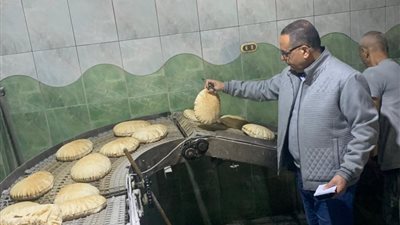 حملات مكثفة في رمضان.. ضبط 1128 شيكارة دقيق مدعم وتحرير 263 مخالفة بالدقهلية خلال يومين