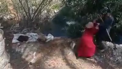 رماها في الترعة وضربها بالشوم.. الأمن يفحص فيديو اعتداء شخص على سيدة بقرية بدمنهور
